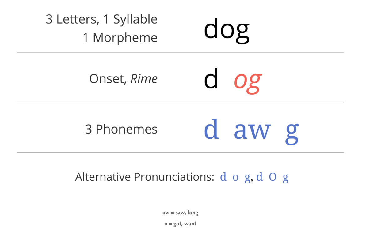 dog